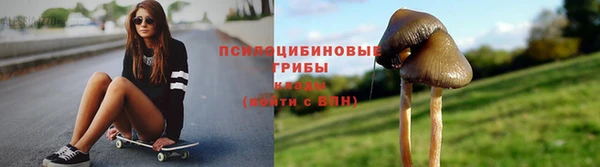 ECSTASY Абаза