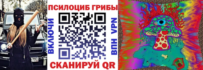 ссылка на мегу сайт  наркотики  Череповец  Галлюциногенные грибы Psilocybe 